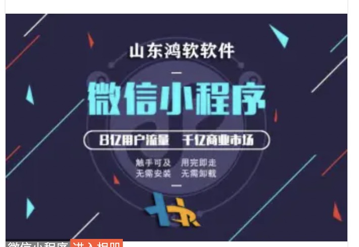 山东鸿软软件